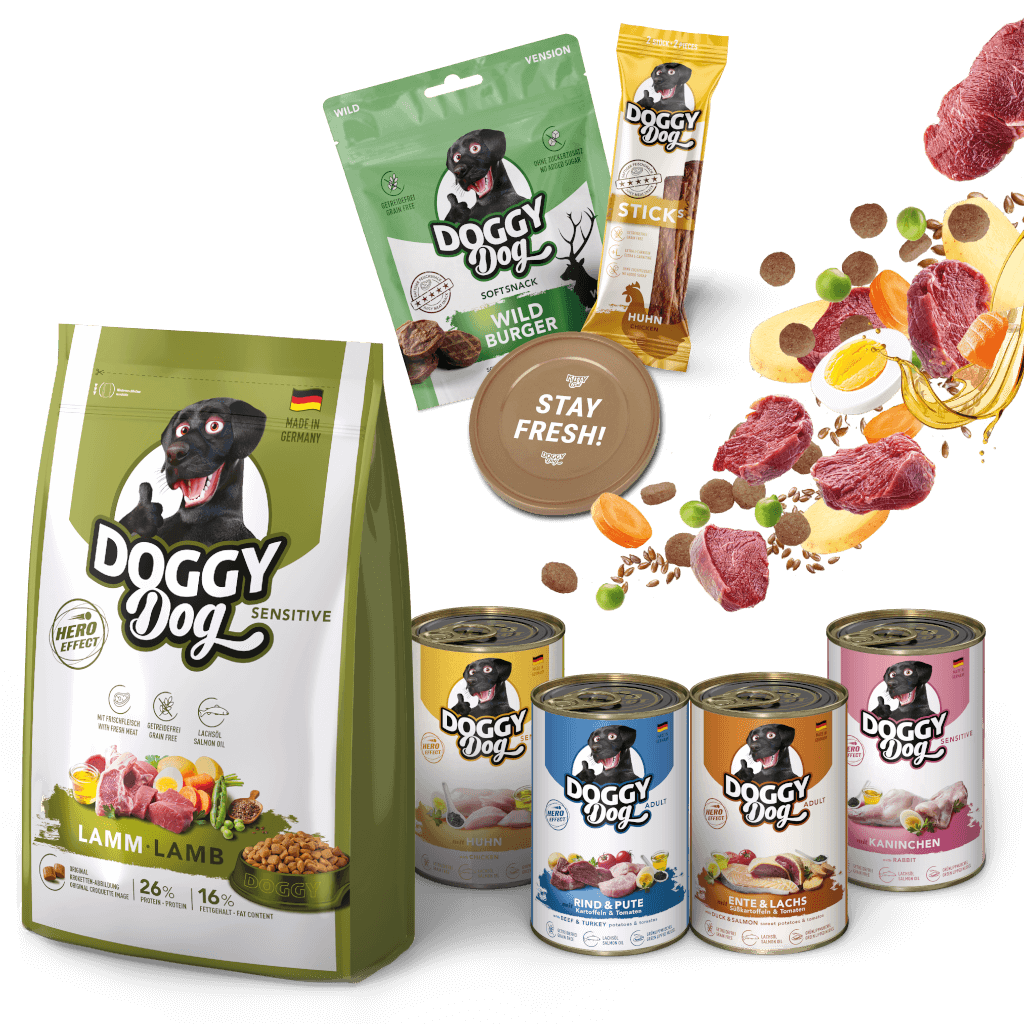 DOGGY Probierbox für große Rassen DOGGY Probierbox für große Rassen - Hauptbild
