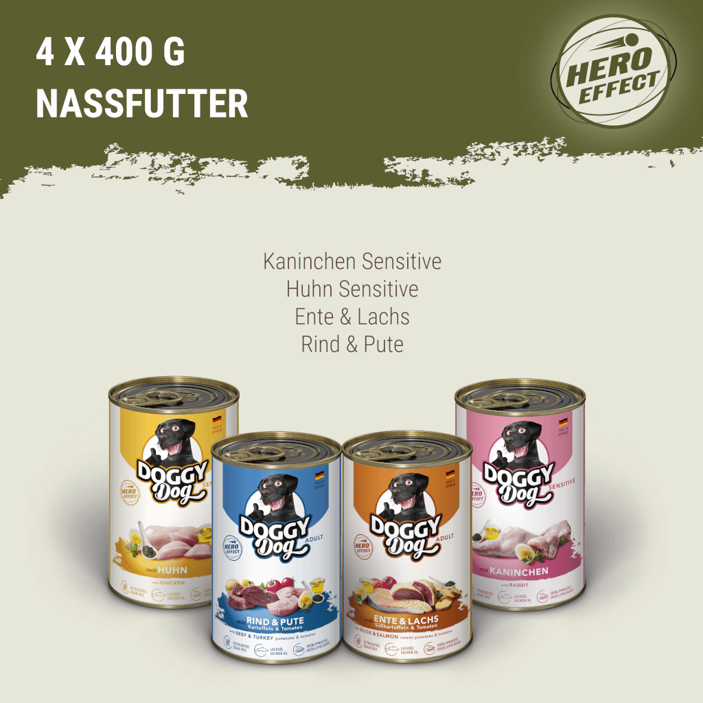 DOGGY Probierbox für große Rassen - MP 3