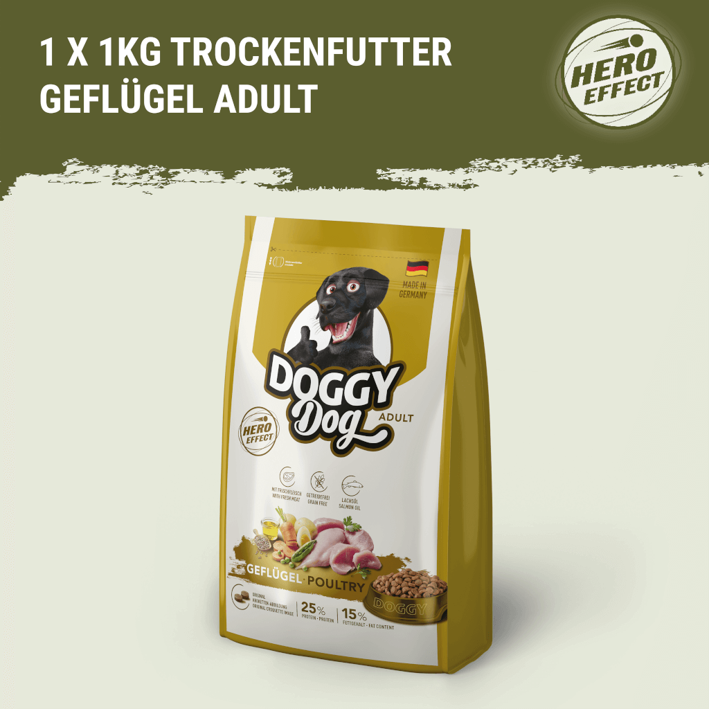 DOGGY Probierbox für große Rassen - MP 2