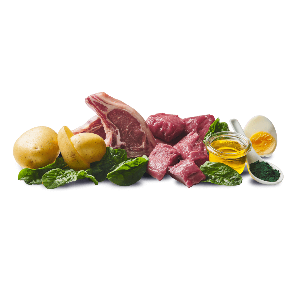 DOGGY Dog - Nassfutter Wild & Lamm 400 g - Zutaten