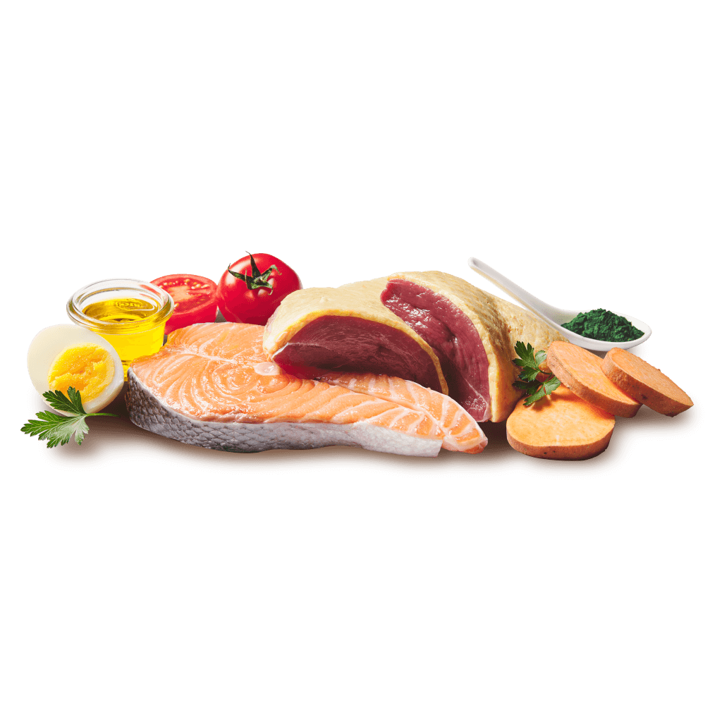 DOGGY Dog - Nassfutter Ente & Lachs 800 g - Zutaten