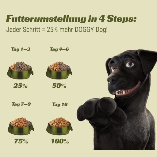 DOGGY Dog - Trockenfutter Lamm Sensitive 1 kg - Tafel Umstellung