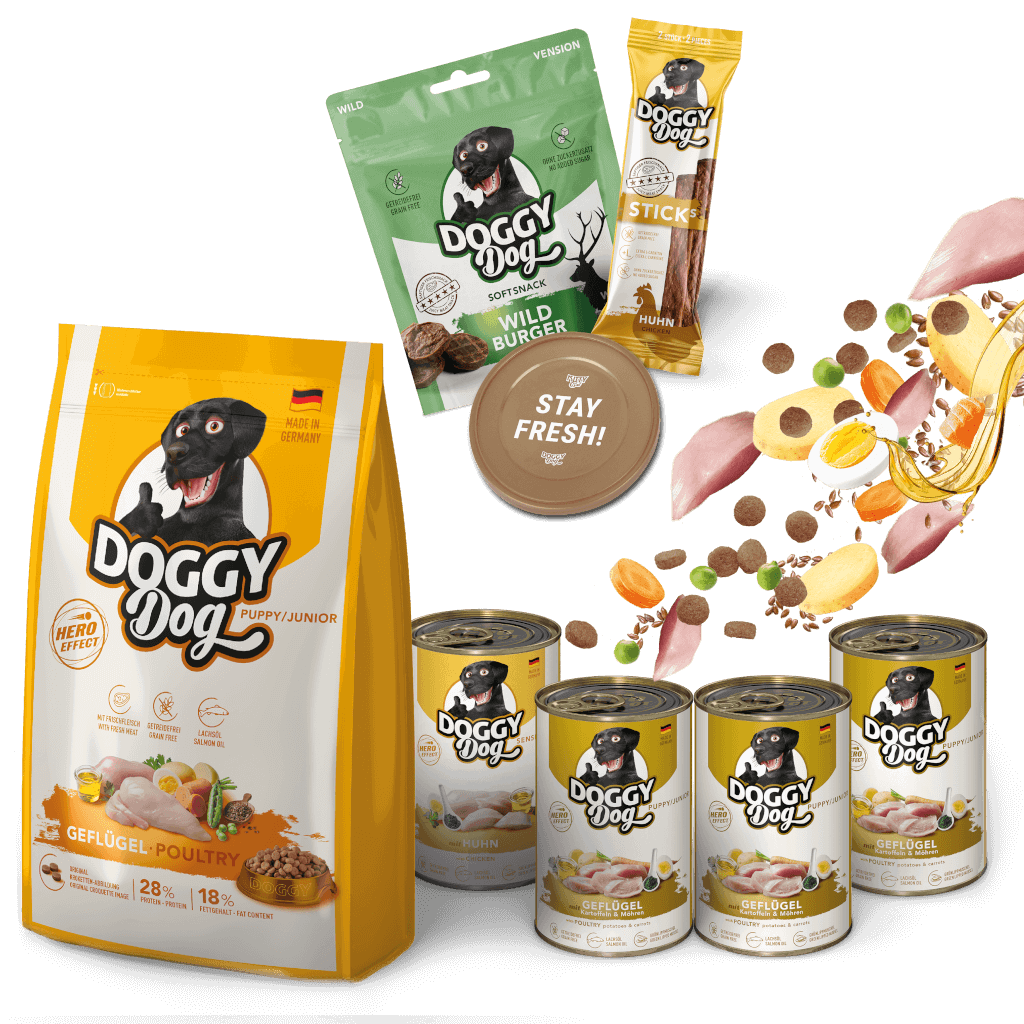 DOGGY Probierbox für Welpen DOGGY Probierbox für Welpen - Hauptbild