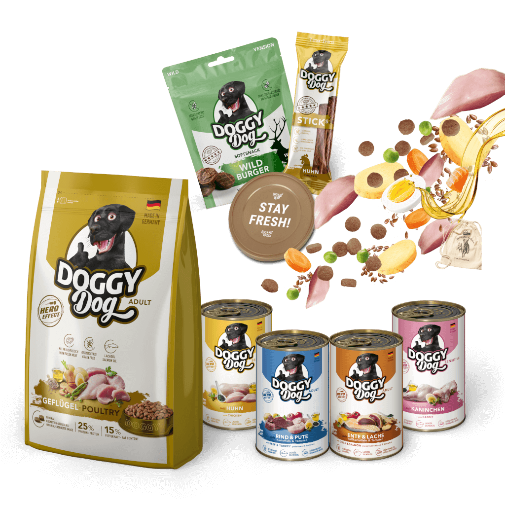 DOGGY Probierbox für große Rassen - Hauptbild