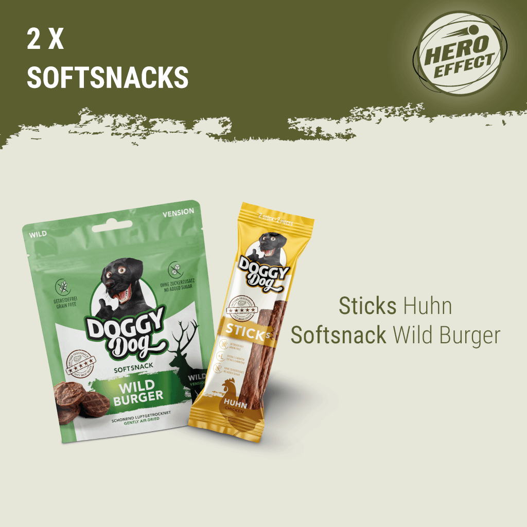 DOGGY Probierbox für große Rassen - MP 4