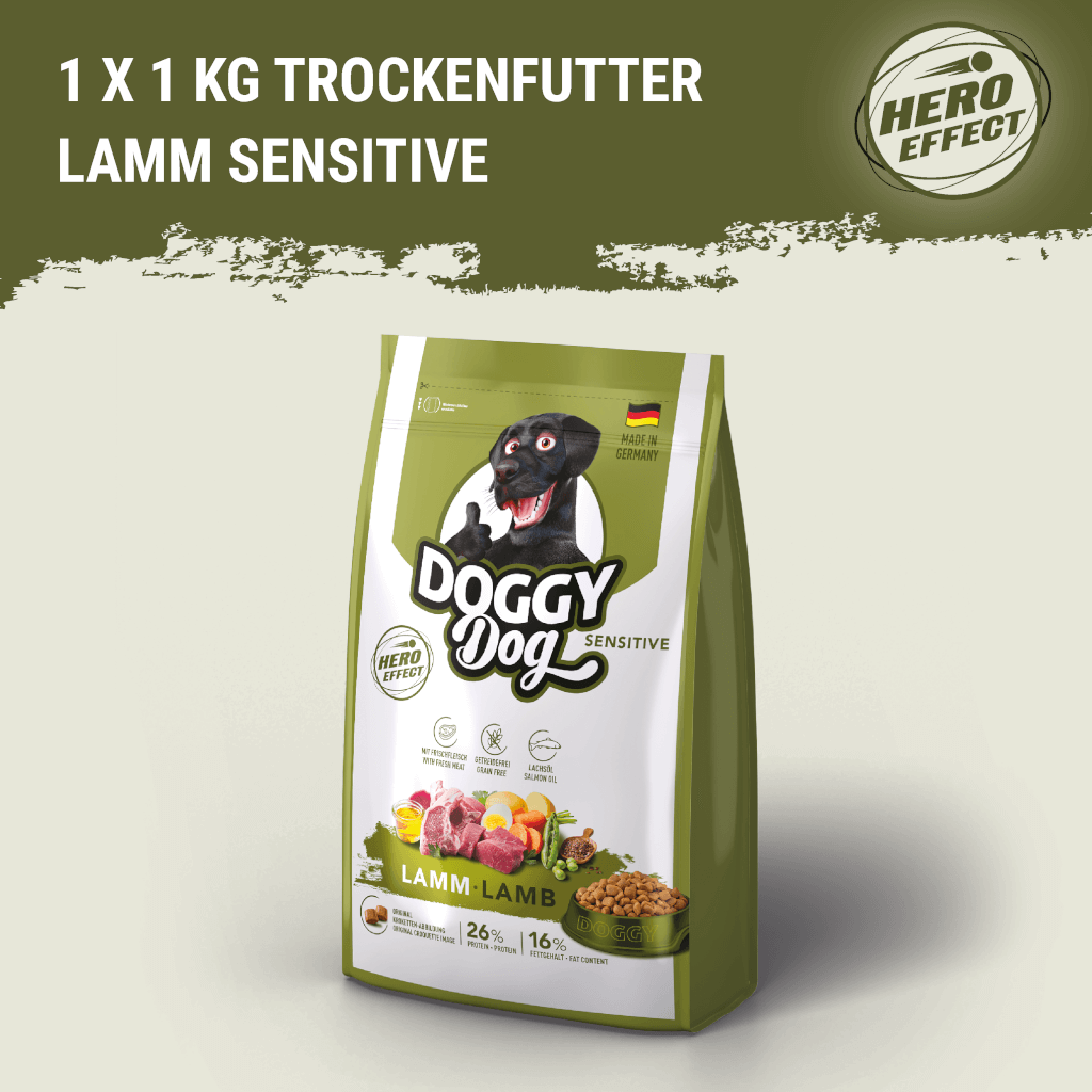 DOGGY Probierbox für große Rassen - MP 2