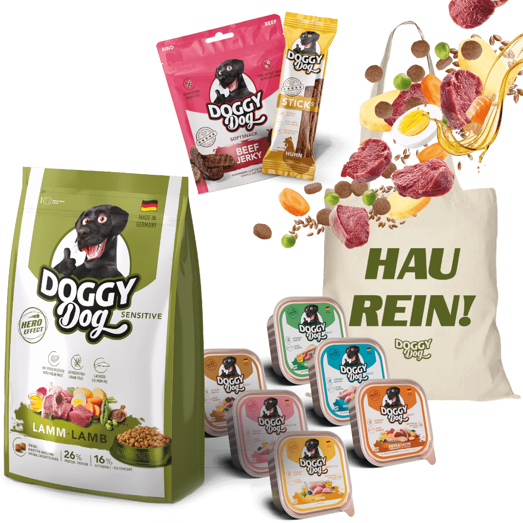 DOGGY Probierbox für kleine Rassen DOGGY Probierbox für kleine Rassen - Hauptbild